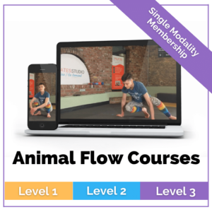 Animal Flow