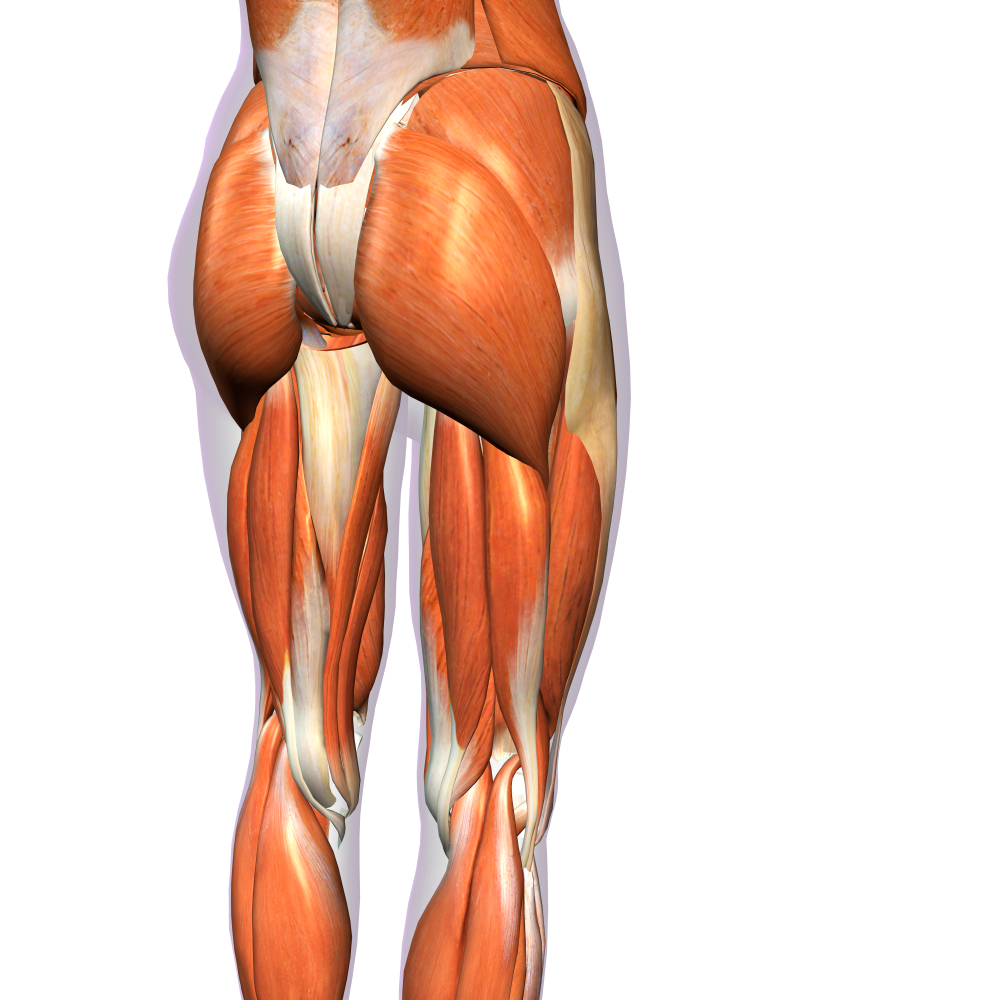 glute workout