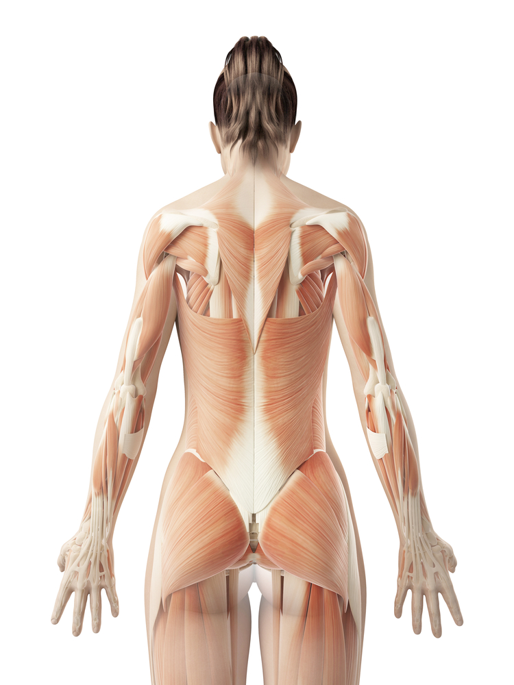 Back pain relief